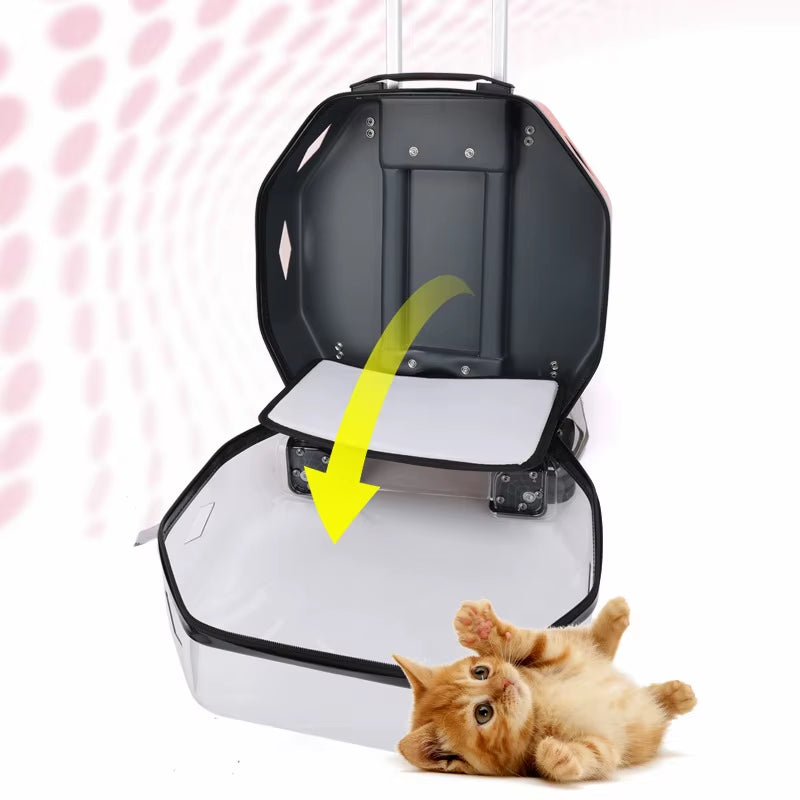 BubbleView Transparent Pet Travel Case