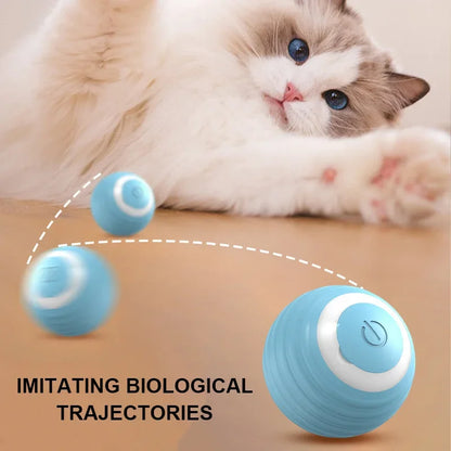 PurrPlay Ultimate Cat Ball
