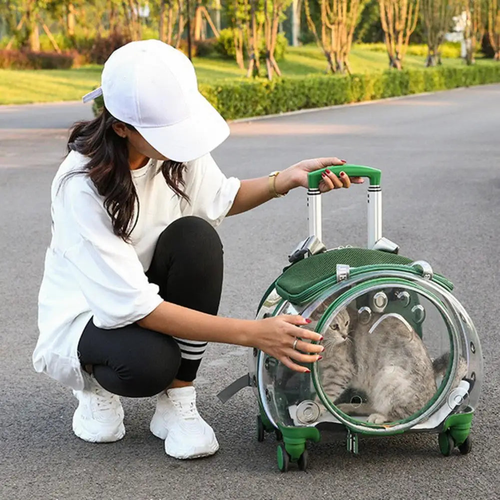 BubbleView Transparent Pet Travel Case