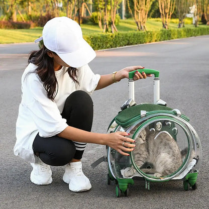 BubbleView Transparent Pet Travel Case
