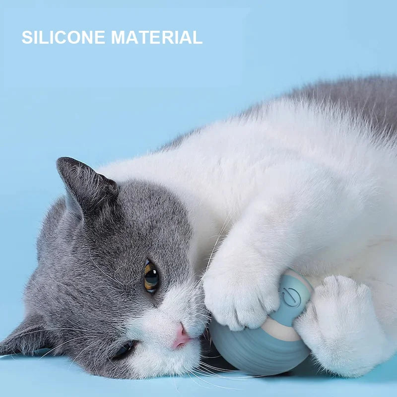 PurrPlay Ultimate Cat Ball