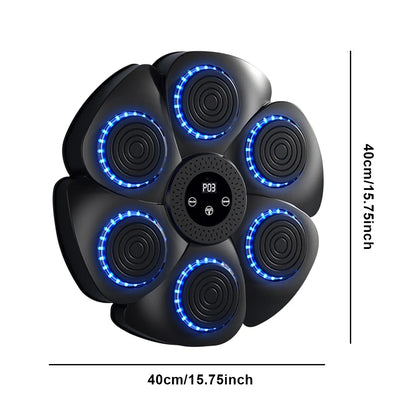 PunchPro MusicBox Boxing Fitness Trainer