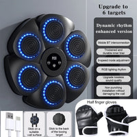 PunchPro MusicBox Boxing Fitness Trainer