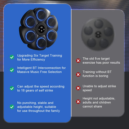 PunchPro MusicBox Boxing Fitness Trainer