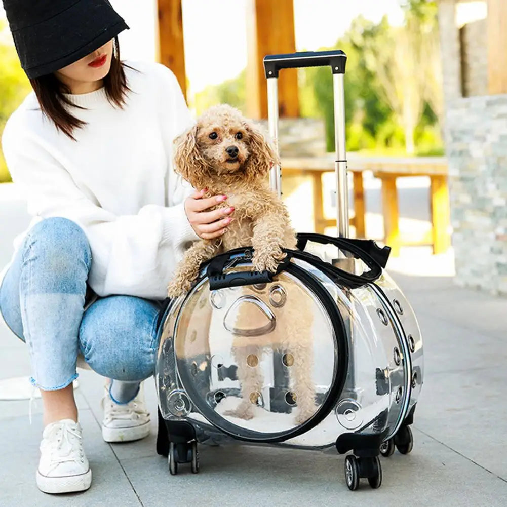 BubbleView Transparent Pet Travel Case