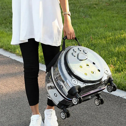 BubbleView Transparent Pet Travel Case