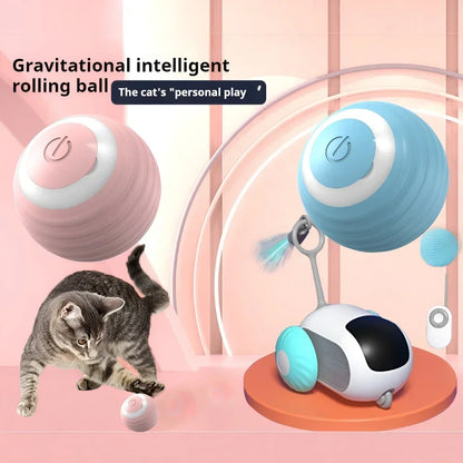 PurrPlay Ultimate Cat Ball
