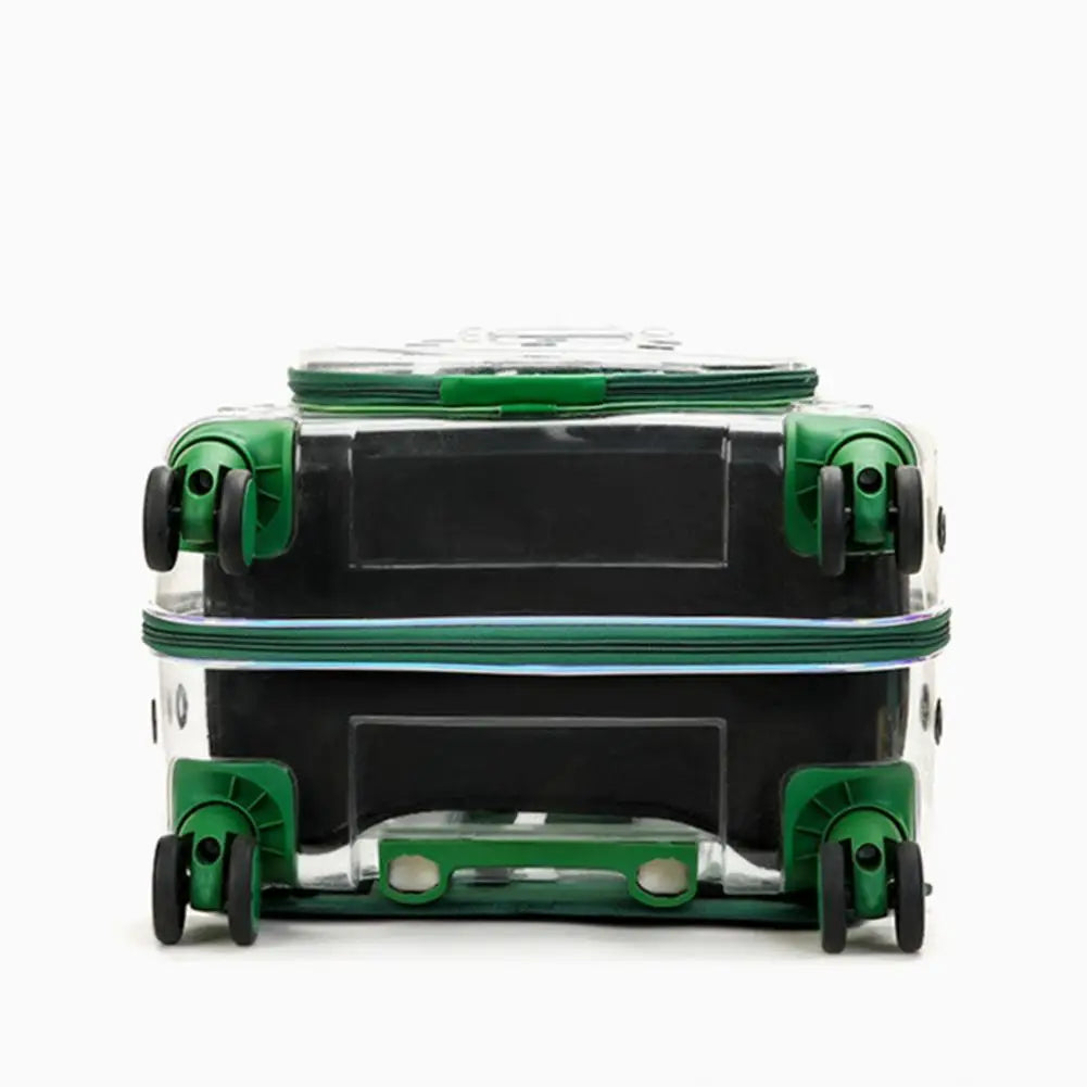 BubbleView Transparent Pet Travel Case
