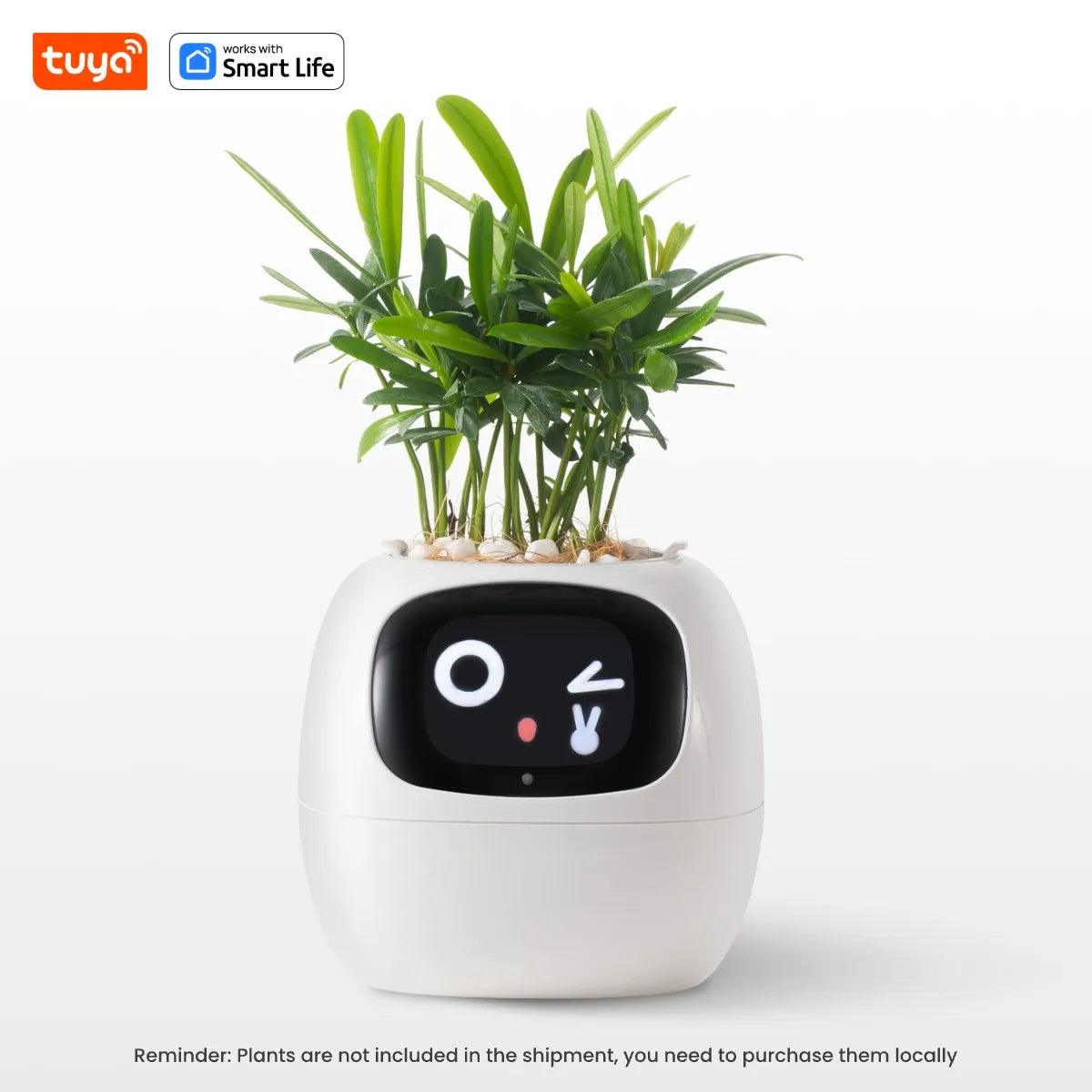 Tuya Ivy Smart Plant Companion