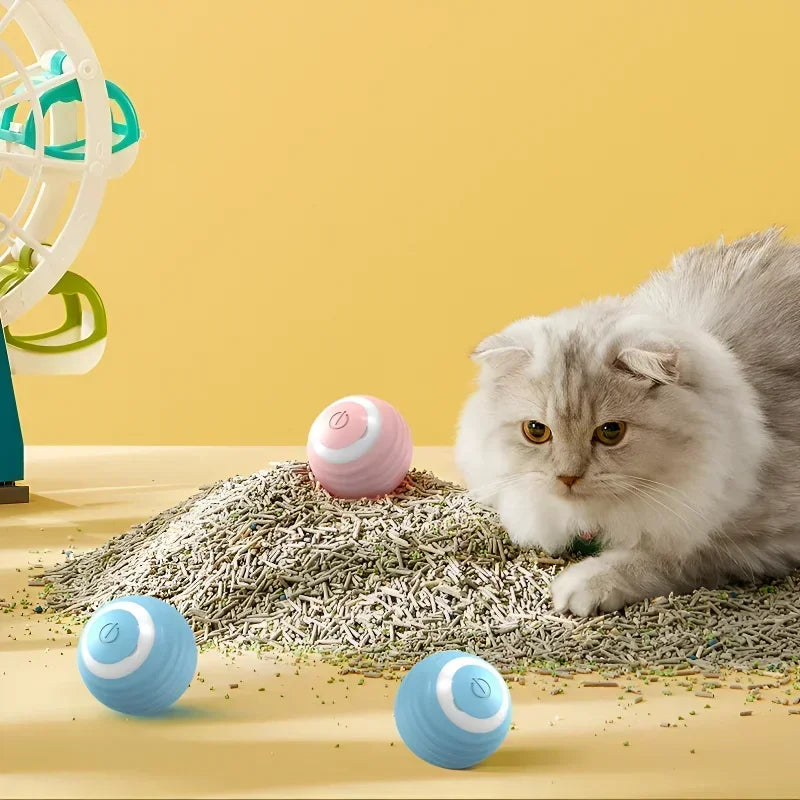 PurrPlay Ultimate Cat Ball
