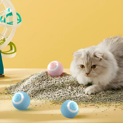 PurrPlay Ultimate Cat Ball