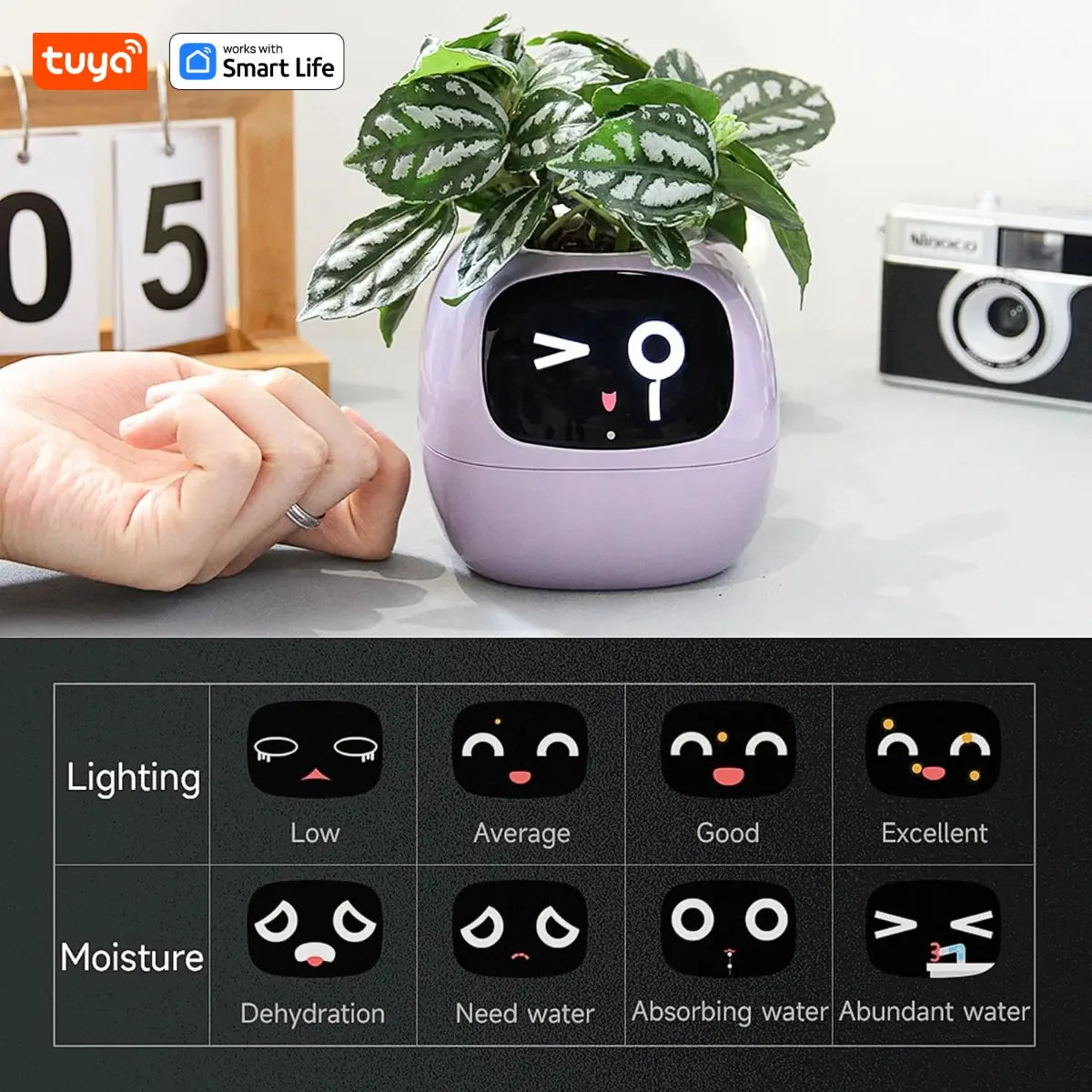 Tuya Ivy Smart Plant Companion