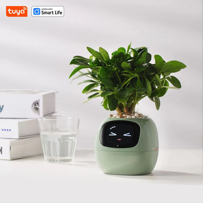 Tuya Ivy Smart Plant Companion