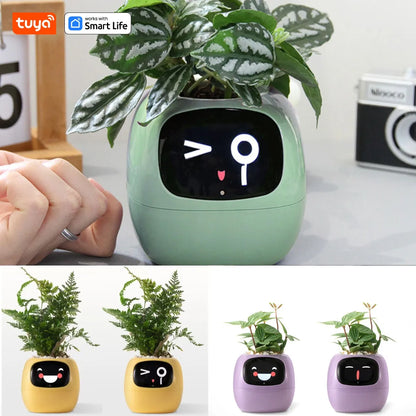 Tuya Ivy Smart Plant Companion