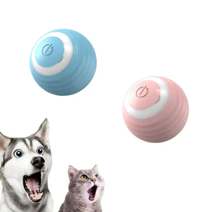 PurrPlay Ultimate Cat Ball