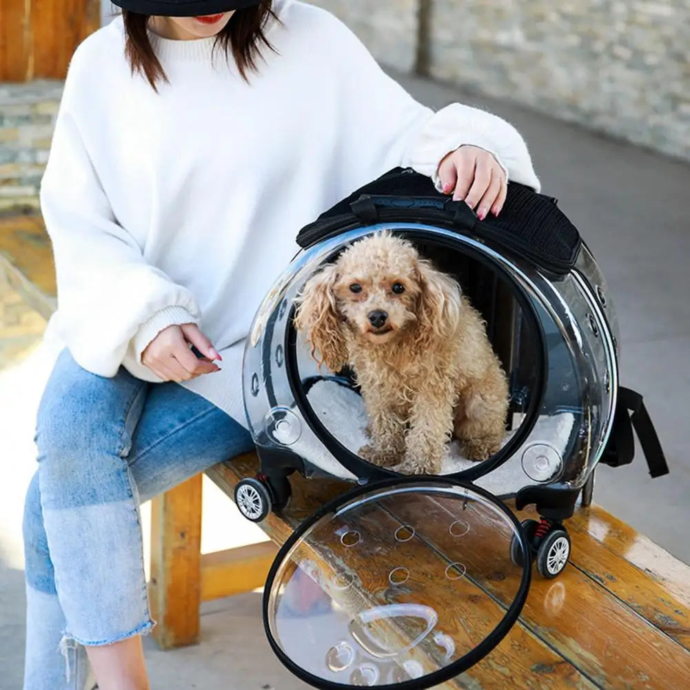 BubbleView Transparent Pet Travel Case