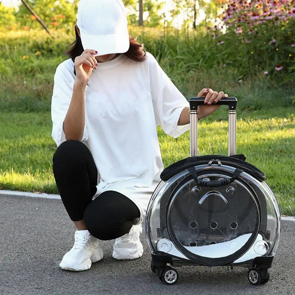 BubbleView Transparent Pet Travel Case