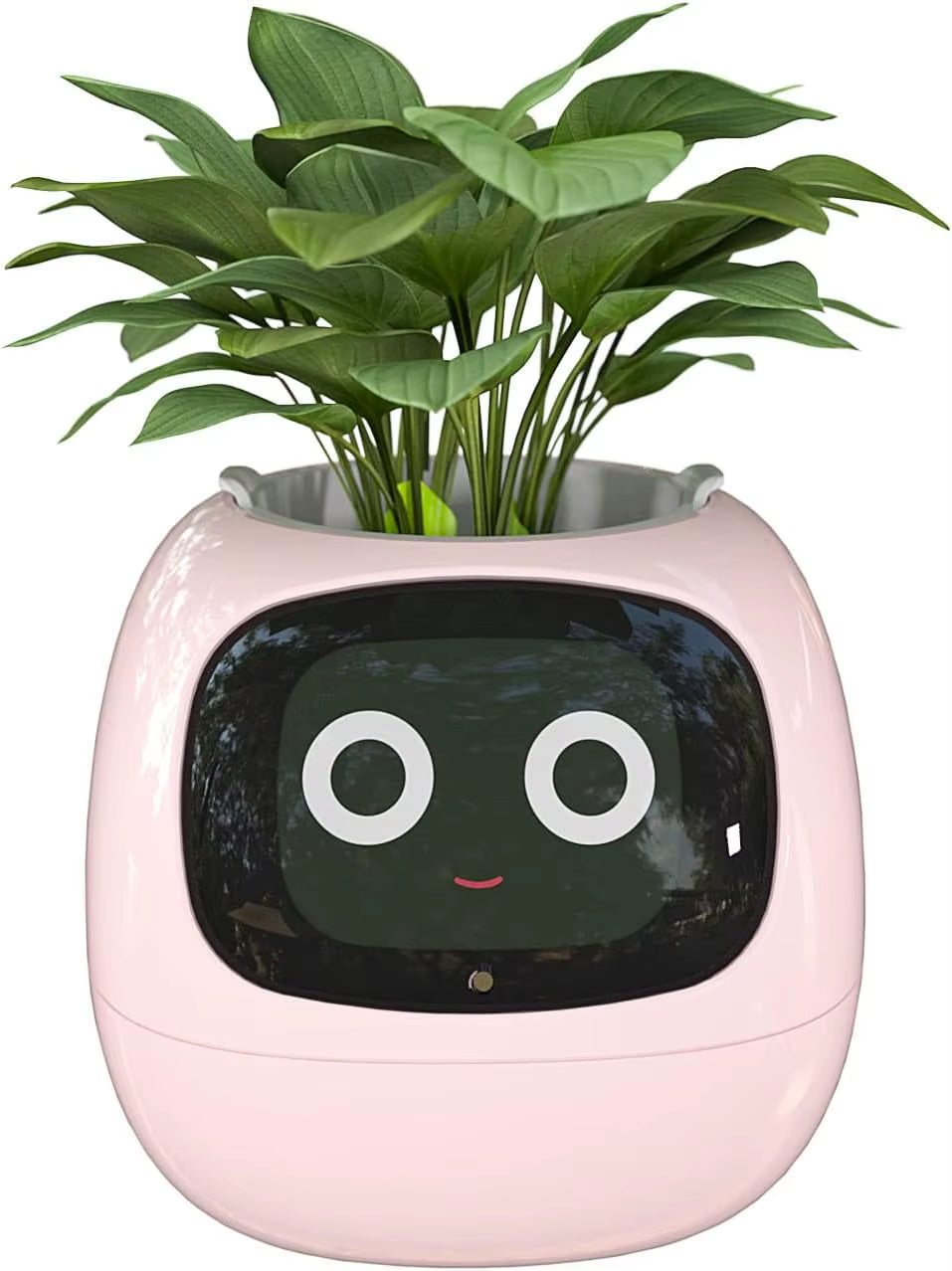 Tuya Ivy Smart Plant Companion