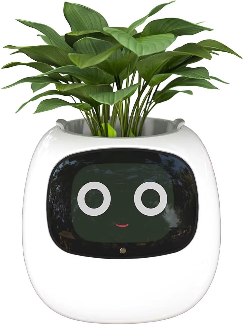 Tuya Ivy Smart Plant Companion